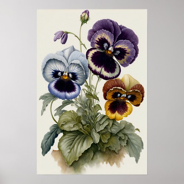 Pansies Pansy Flower Art Print Poster (Front)