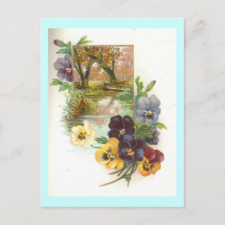 pansies postcard