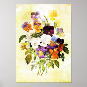 Pansies Poster