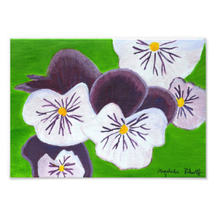 Pansies print