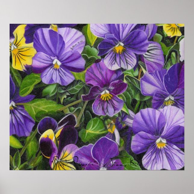 Pansies, "Purple Pansies" by Jenny Koch Poster (Front)