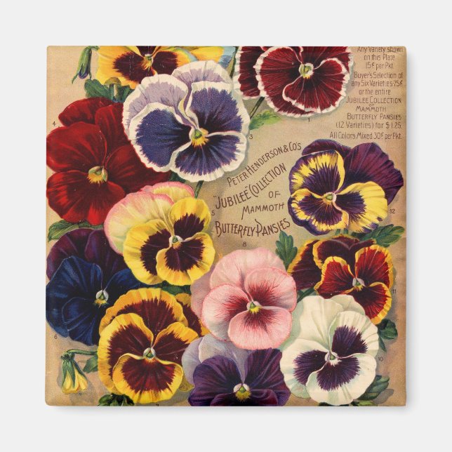 Pansies Seed Packet Magnets (Front)