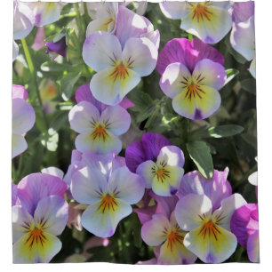 Pansies Shower Curtain