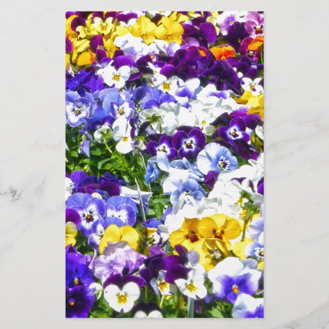 Pansies Stationery (Front)