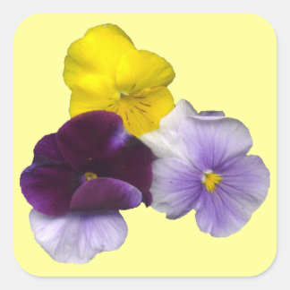 Pansies Stickers