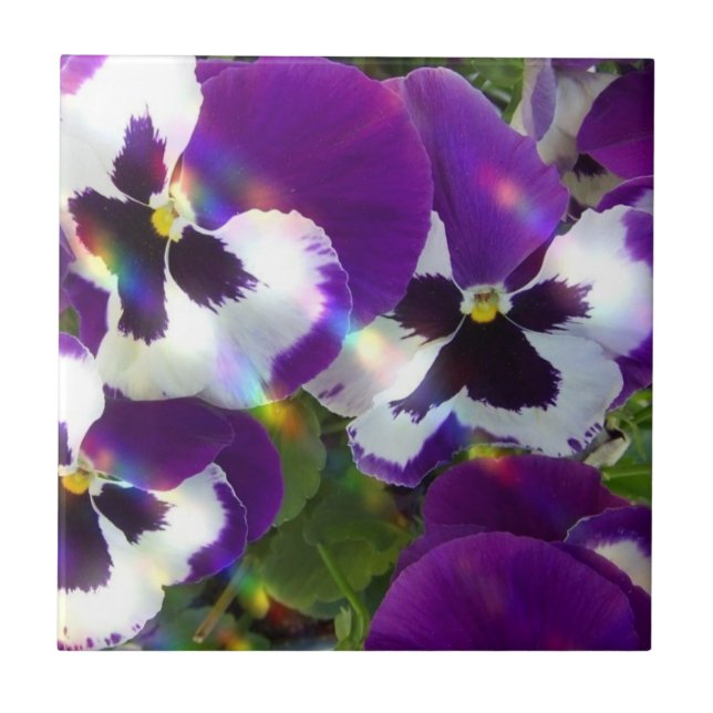 Pansies  Tiles or Trivets (Front)