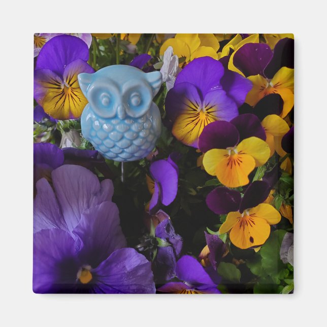 Pansies with owl magnet (Front)