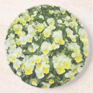 Pansies Yellow Bunch Coaster