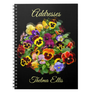 Pansy  Address Book