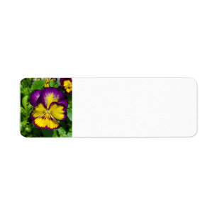 Pansy address label return address label