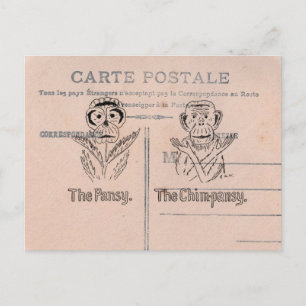 Pansy and Chimp Humour Postcard