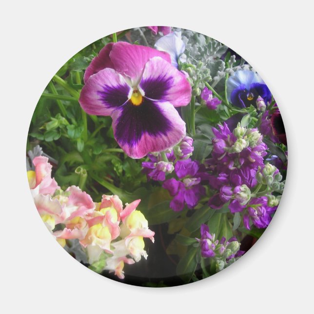 Pansy and friends Magnet (Front)
