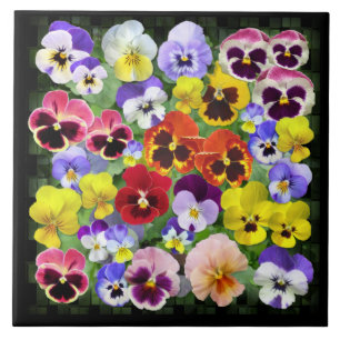 Pansy Beauty Ceramic Tile