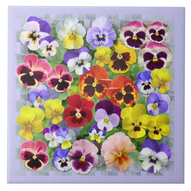 Pansy Beauty Ceramic Tile (Front)