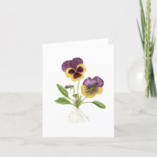 Pansy Blank Card