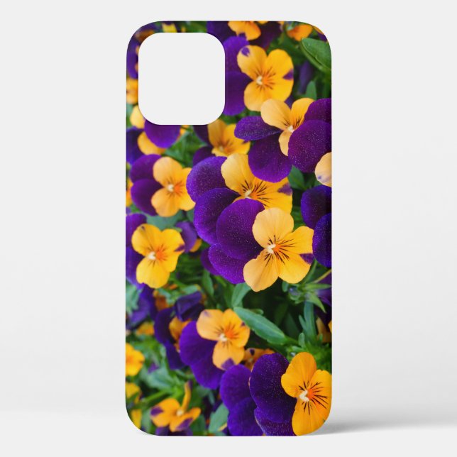 Pansy Bloom: Garden Beauty Close-up. Case-Mate iPhone Case (Back)