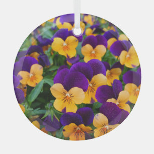 Pansy Bloom: Garden Beauty Close-up. Glass Tree Decoration