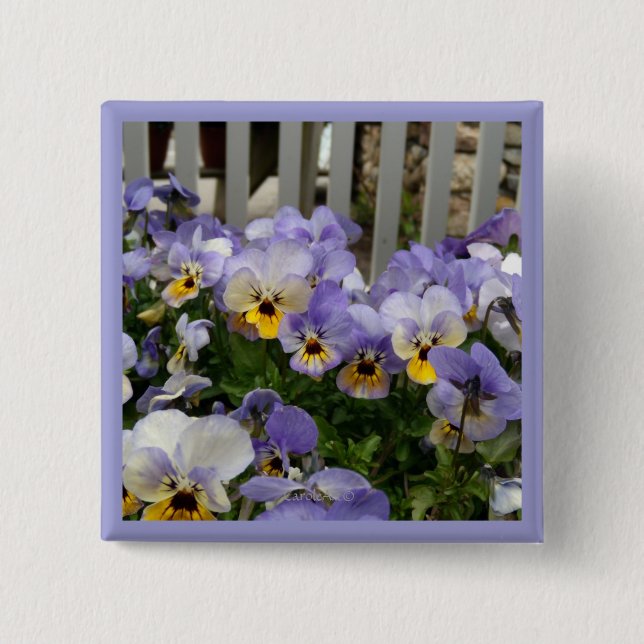 Pansy Blues Fence 15 Cm Square Badge (Front)