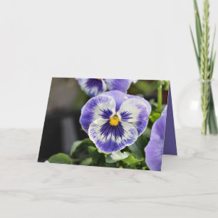 Pansy Card