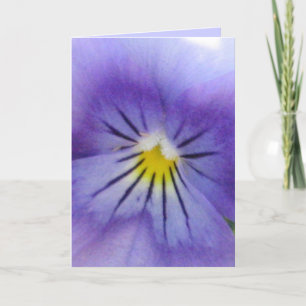 Pansy Card