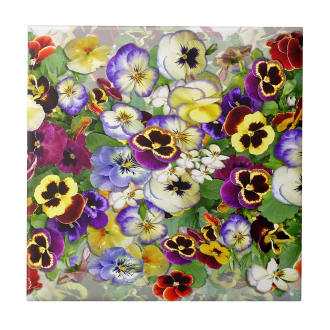 Pansy Cascade Ceramic Tile (Front)