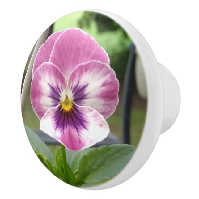 Pansy Ceramic Knob (Pink & Purple) (Right)