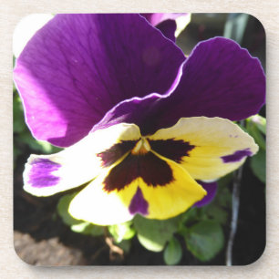 Pansy cork coaster