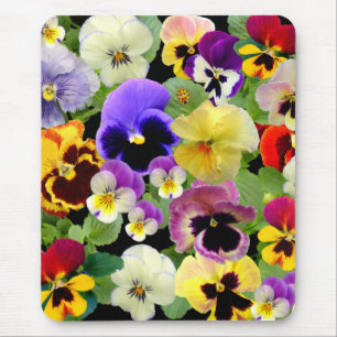 PANSY DELIGHT MOUSE PAD