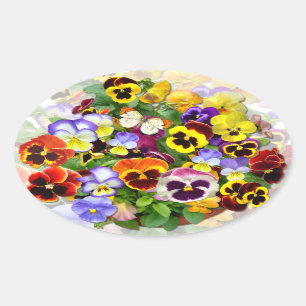 Pansy display with butterfly square sticker
