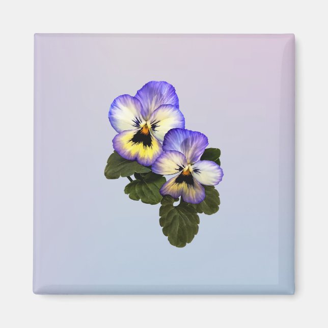 Pansy Duo Magnet (Front)