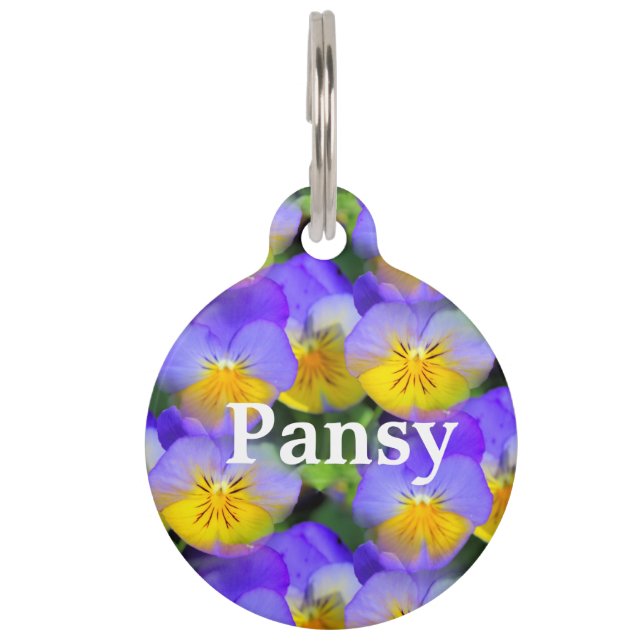 Pansy echoes pet tag (Front)