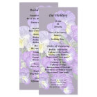 Pansy Family Reunion