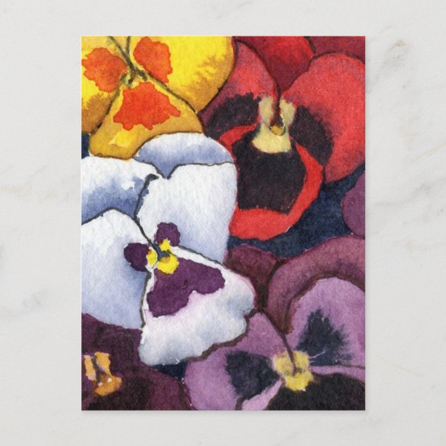 Pansy Floral Postcard (Front)