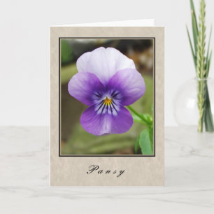 Pansy - Floral Series Card