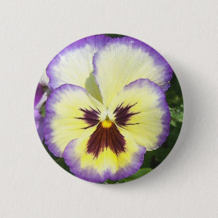 Pansy Flower Pictures Round Button