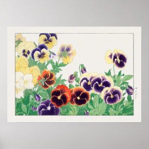 Pansy Flower, Red, Purple & Yellow Pansies, Konan, Poster