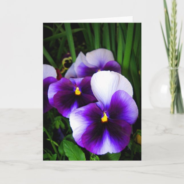 Pansy flowers - Card (Front)