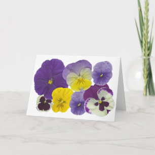 pansy flowers card