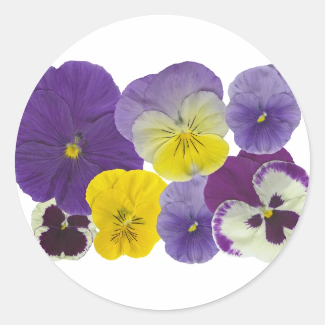 pansy flowers classic round sticker (Front)