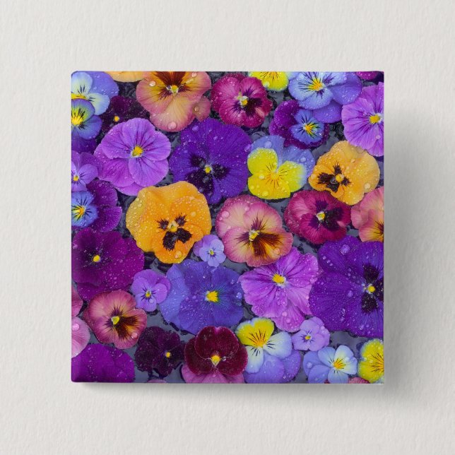 Pansy flowers floating in bird bath with dew 15 cm square badge (Front)