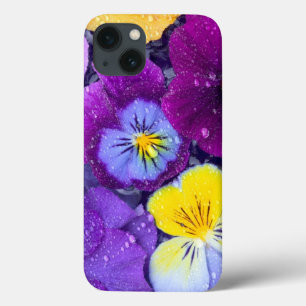 Pansy flowers floating in bird bath with dew 2 iPhone 13 case