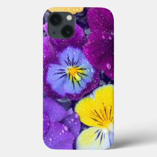Pansy flowers floating in bird bath with dew 2 iPhone 13 case