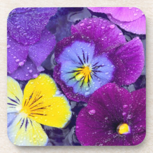Pansy flowers floating in bird bath with dew coaster