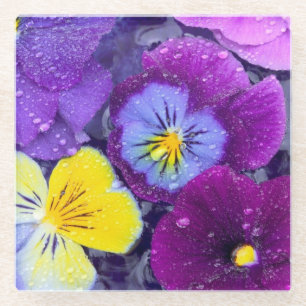 Pansy flowers floating in bird bath with dew glass coaster
