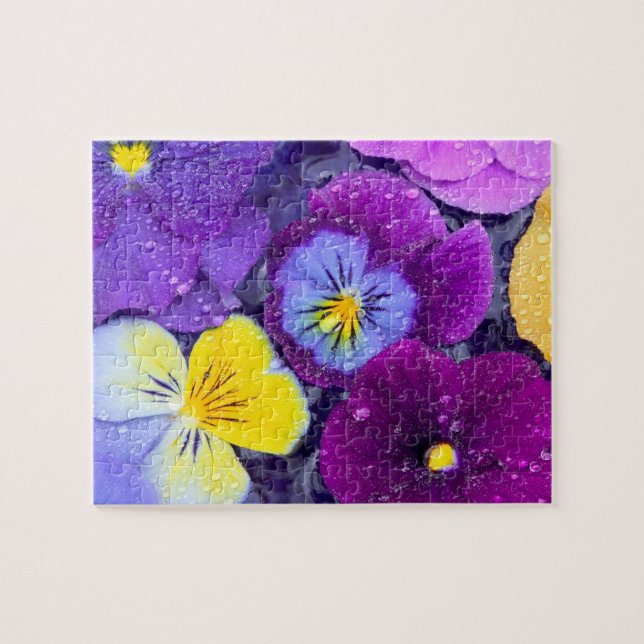 Pansy flowers floating in bird bath with dew jigsaw puzzle (Horizontal)