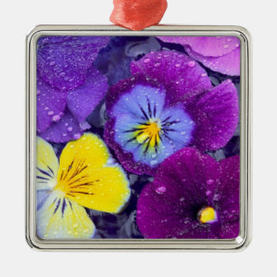 Pansy flowers floating in bird bath with dew metal ornament