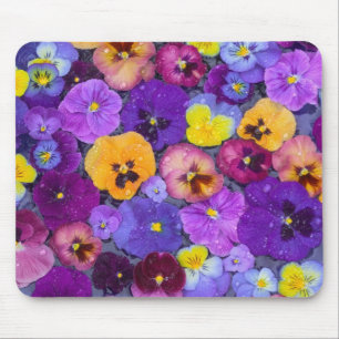 Pansy flowers floating in bird bath with dew mouse pad