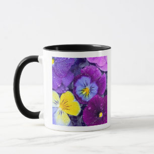 Pansy flowers floating in bird bath with dew mug