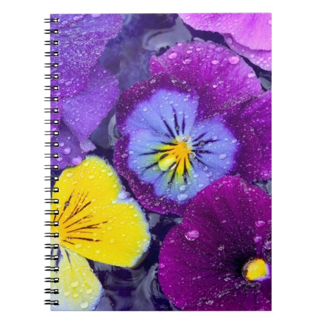 Pansy flowers floating in bird bath with dew notebook (Front)