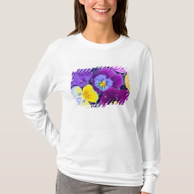 Pansy flowers floating in bird bath with dew T-Shirt (Front)